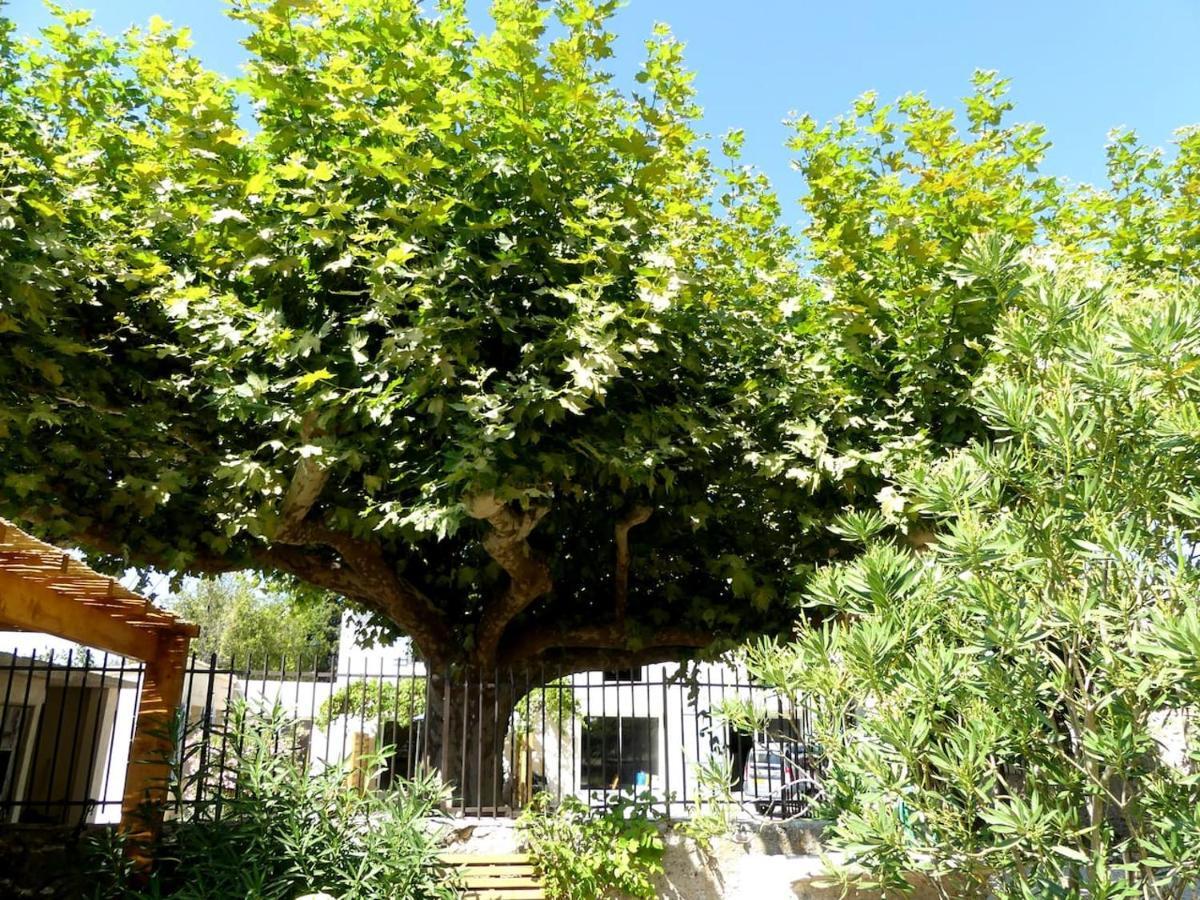 Gites La Ferme De Marguerite Tulette Luaran gambar